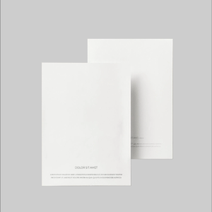Pagina di stampa tesi