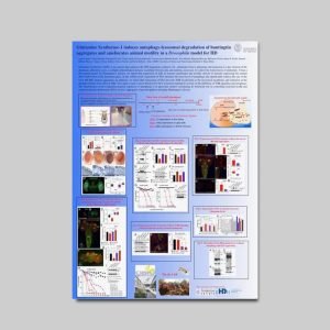 Poster su tela A0